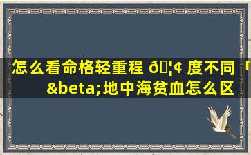 怎么看命格轻重程 🦢 度不同「β地中海贫血怎么区 🐴 分轻重」